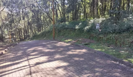 Terreno à venda na ERS-466, 16, Caracol, Canela, 952 m2 por R$ 750.000