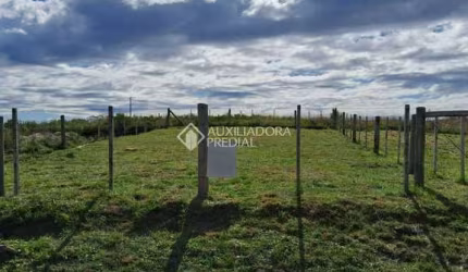 Terreno à venda na 21 de abril, 1, Campo do Meio, São Francisco de Paula, 360 m2 por R$ 145.000
