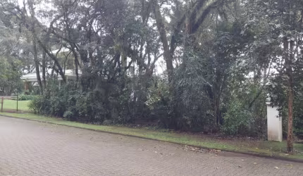 Terreno em condomínio fechado à venda na Das Caneleiras, 22, Reserva da Serra, Canela, 555 m2 por R$ 1.000.000