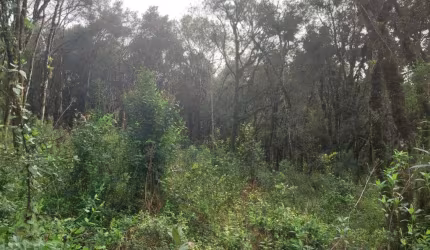 Terreno à venda na Estremosa, 4, Carniel, Gramado, 450 m2 por R$ 620.000