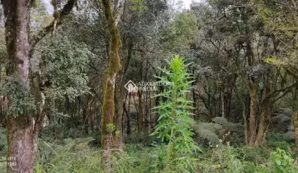 Terreno à venda na Vinicius De Moraes, 1, Vila do Cedro, Canela, 612 m2 por R$ 266.000