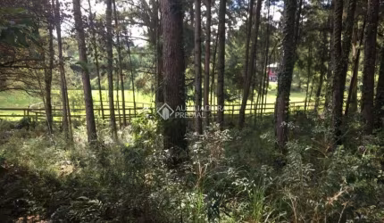 Terreno à venda na Dos Manea, 157, Jardim Das Fontes, Canela, 12764 m2 por R$ 1.060.000
