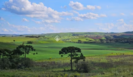 Fazenda à venda na tres irmãos, 1, Lajeado Grande, São Francisco de Paula, 1571700 m2 por R$ 9.200.000