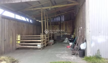Fazenda à venda na Rs 040, Km 30, Parada 91, 1285, Zona Rural, Viamão, 15000 m2 por R$ 397.000