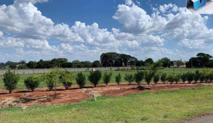 Terreno no condomínio Residencial Village Manacá - Cesário Lange/SP