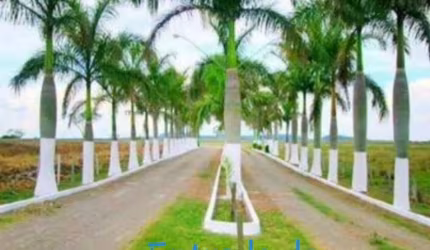 Descubra seu Paraíso Particular no Recanto da Castelo!