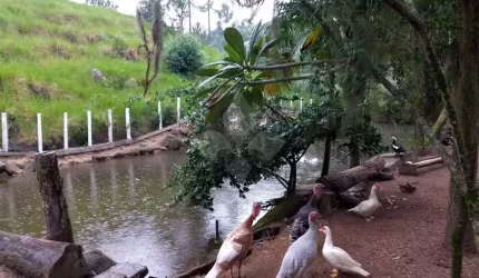 Chácara / sítio com 3 quartos à venda na Aratingaúba, 1, Aratingauba, Imaruí por R$ 375.000