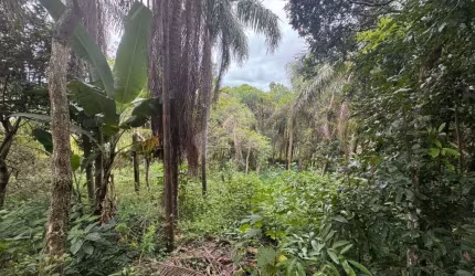 Terreno em condomínio fechado à venda na 41815, 1, Ibiraquera, Imbituba por R$ 540.000