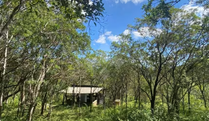 Terreno em condomínio fechado à venda na Grp 480, 1, Ressacada, Garopaba por R$ 1.400.000