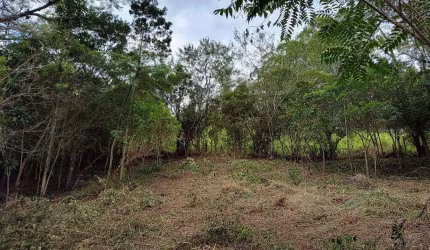 Terreno em condomínio fechado à venda na Pmg 250, Encantada, Garopaba por R$ 600.000