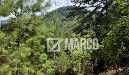 Terreno à venda no Ribeirão Souto, Pomerode , 11312 m2 por R$ 689.000
