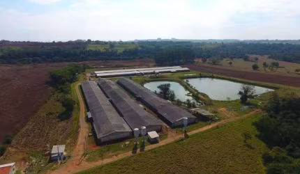 Granja com 8 Alqueires na Rodovia Castelo Branco