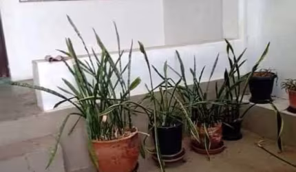 Imóvel disponível para venda Jardim São Francisco em Salto/SP!