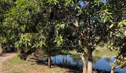 Chácara à Venda em Elias Fausto – Porteira Fechada!