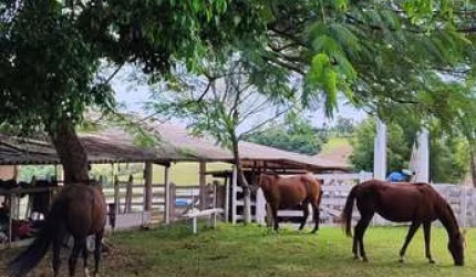 EXCELENTE SÍTIO À VENDA EM ITAPETININGA - SP 