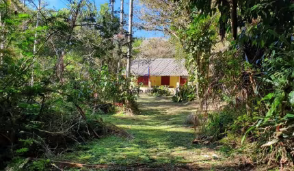 Sítio com 24 mil m2 - Rio Negro - Natividade da Serra/SP