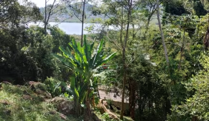 Terreno à venda, 510 m² por R$ 1.575.000,00 - João Paulo - Florianópolis/SC