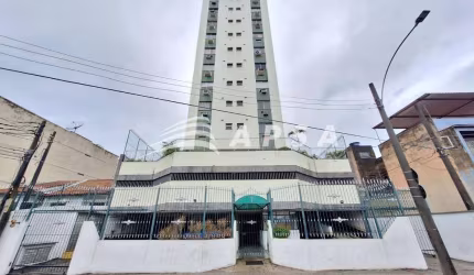 EXCELENTE APARTAMENTO, SOL MANHÃ, 60M2, SALA, DOIS QUARTOS COM ARMÁRIOS, UM BANHEIRO SOCIAL, COZINHA