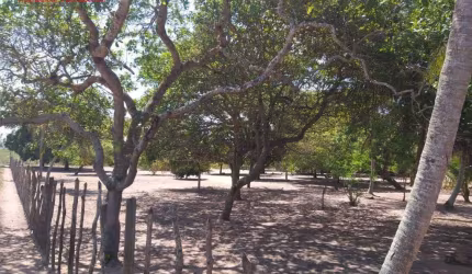 6.400m²  8 Terrenos no centro do Guajirú