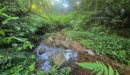 Terreno à venda, 29946 m² por R$ 1.750.000,00 - Tanguá - Almirante Tamandaré/PR
