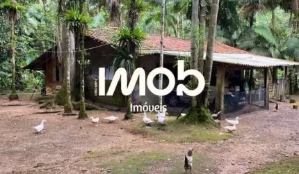 Chácara com 47.696 m² de área total, Amizade - Guaramirim