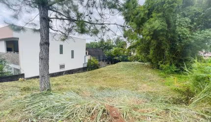 Terreno com 600 m² de área, bairro Tifa Martins
