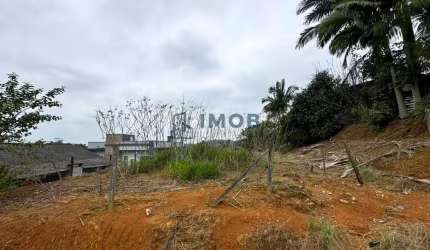 Lote/Terreno, Corticeira - Guaramirim