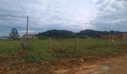 Terreno à venda, 325 m² por R$ 259.000,00 - Itajuba - Barra Velha/SC