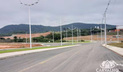 Terreno à venda, 444 m² por R$ 235.000,00 - Nossa Sra. Conceição - Balneário Piçarras/SC