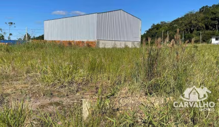 Terreno à venda, 355 m² por R$ 200.000,00 - Itajuba - Barra Velha/SC