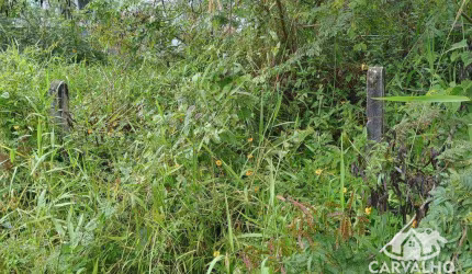 Terreno à venda, 300 m² por R$ 350.000,00 - Itajuba - Barra Velha/SC
