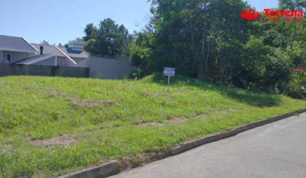 Terreno à venda, 362 m² - Velha - Blumenau/SC