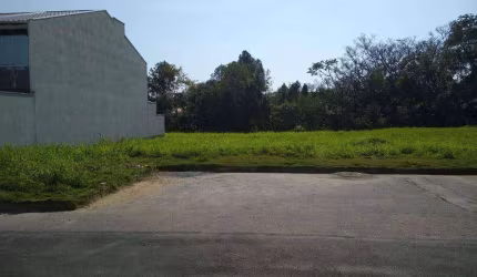 Terreno à venda, 383 m² - Velha - Blumenau/SC