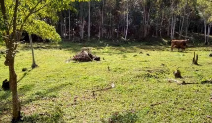Terreno à venda, 43.356 m² - Itoupava Central - Blumenau/SC