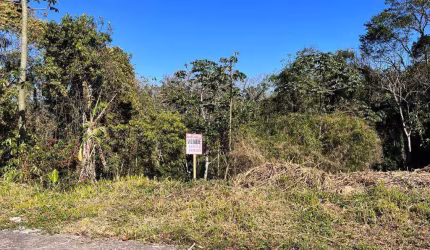Terreno à venda, 387 m² - Água Verde - Blumenau/SC