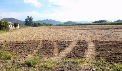 Terreno, 55000 m² - Venda ou Aluguel - Sete de Setembro - Gaspar/SC