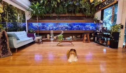 Casa exclusiva, 1.044 m2, 4 pavimentos, 4 dormitórios, 2 suítes, para venda, Alto da Lapa.