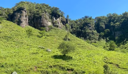 ÁREA DE 130 HECTARES À VENDA EM BOCAINA DO SUL
