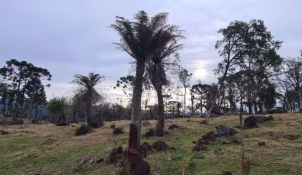 área de 14 hectares no vacariano de fácil acesso, próximo a Urubici, Rio Rufino