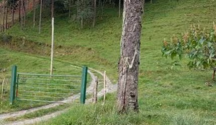 28 hectares a 3 km do centro da cidade de Urubici