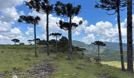 Linda área de 2 hectares, com a melhor vista de altitude da região de Urubici