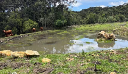 3 ha localizada na tranquila e charmosa localidade de Pericó proximo a urubici