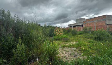 Terreno à venda, 390 m² por R$ 460.000,00 - Afonso Pena - São José dos Pinhais/PR