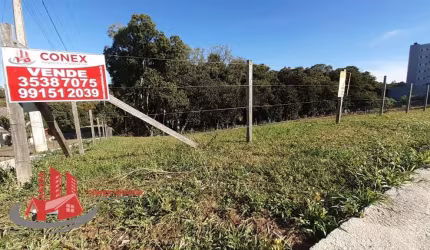 Terreno à venda na Rua Honeyde Bertussi, 01, Nossa Senhora da Saúde, Caxias do Sul por R$ 1.293.000