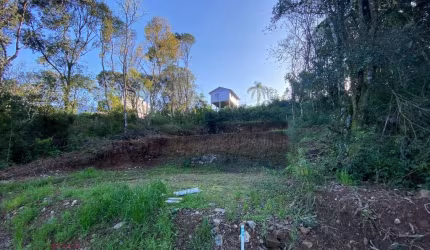 Terreno à venda na Vitoria Stella Biason Vieceli, América, Farroupilha por R$ 100.000