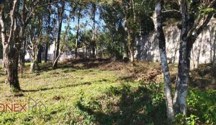 Terreno à venda na Rua Ruy José Bisol Filho, 17, Ana Rech, Caxias do Sul por R$ 320.000