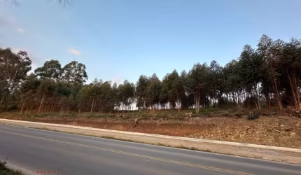 Terreno em condomínio fechado à venda na Desvio Blauth, 01, Nova Sardenha (Distrito), Farroupilha por R$ 1.925.000