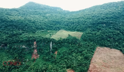 Terreno à venda na Estrada Cerro da Glória, 01, Zona Rural, Vale Real por R$ 1.430.000