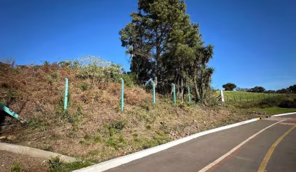 Chácara / sítio à venda na Rodovia dos Romeiros, 01, Cinquentenário, Farroupilha por R$ 2.500.000