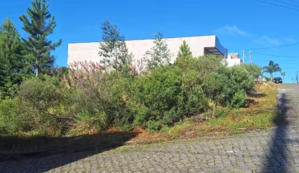 Terreno à venda na Estrada Municipal Benvenuto Toss, 851, São Luiz, Caxias do Sul por R$ 440.000